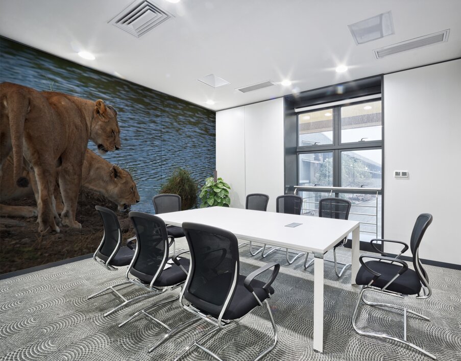 Waterfront Curiosity Wall Printing