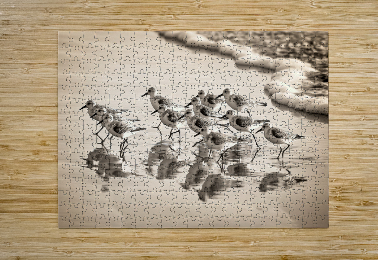 Gentle Pursuit Chirag Pandya Puzzle printing