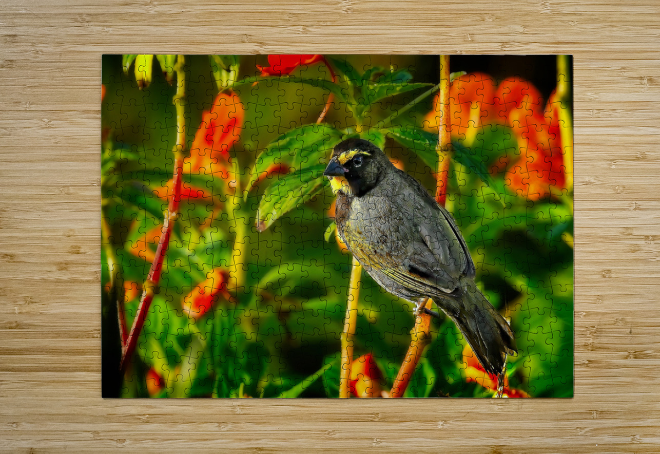 Sunlit Garden Glow Chirag Pandya Puzzle printing