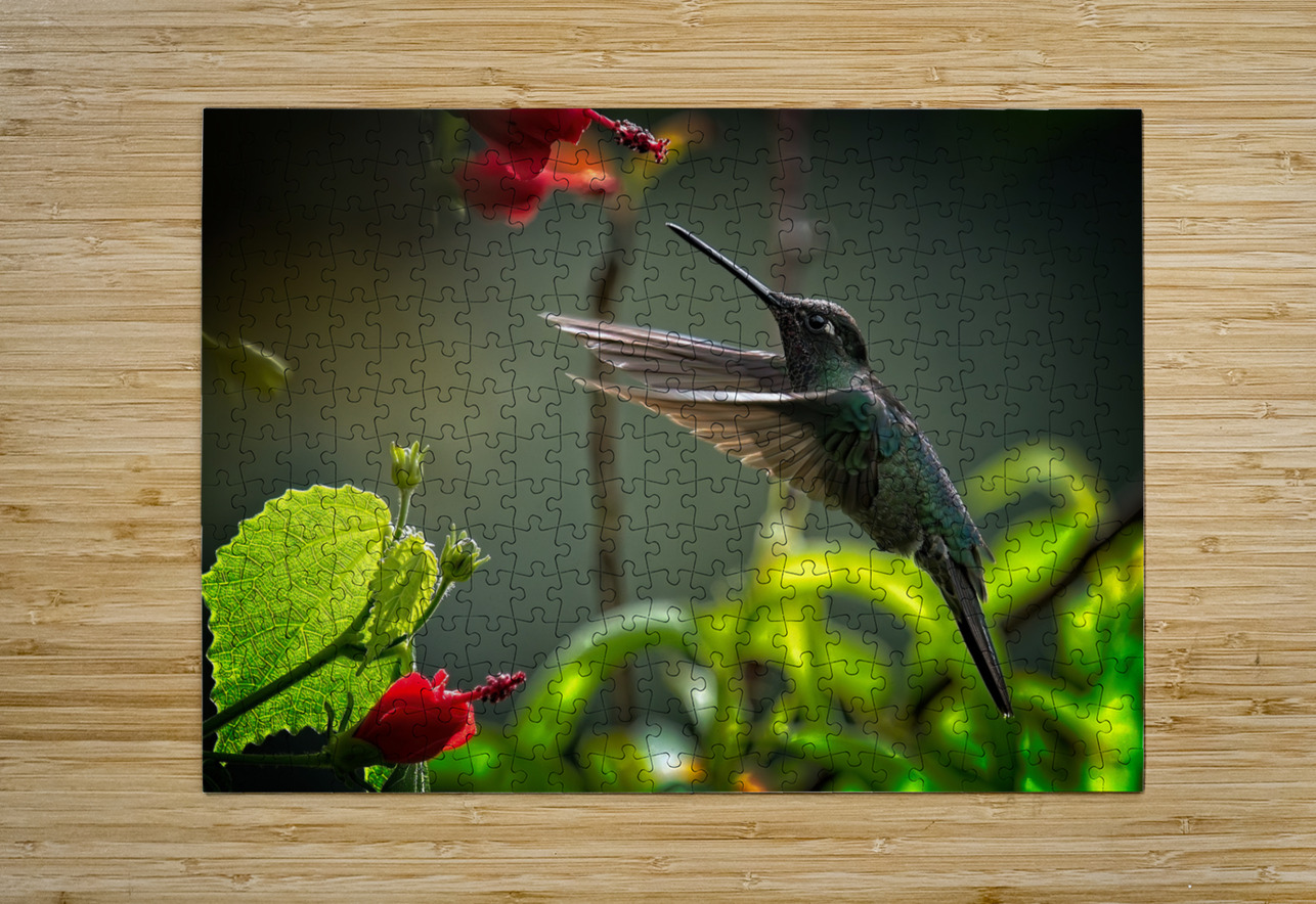 The Nectar Dancer Chirag Pandya Puzzle printing