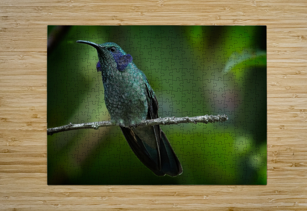 Emerald Whisper Chirag Pandya Puzzle printing