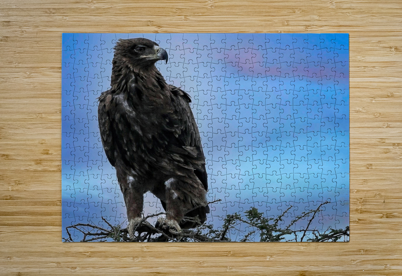 Sky Monarch Chirag Pandya Puzzle printing