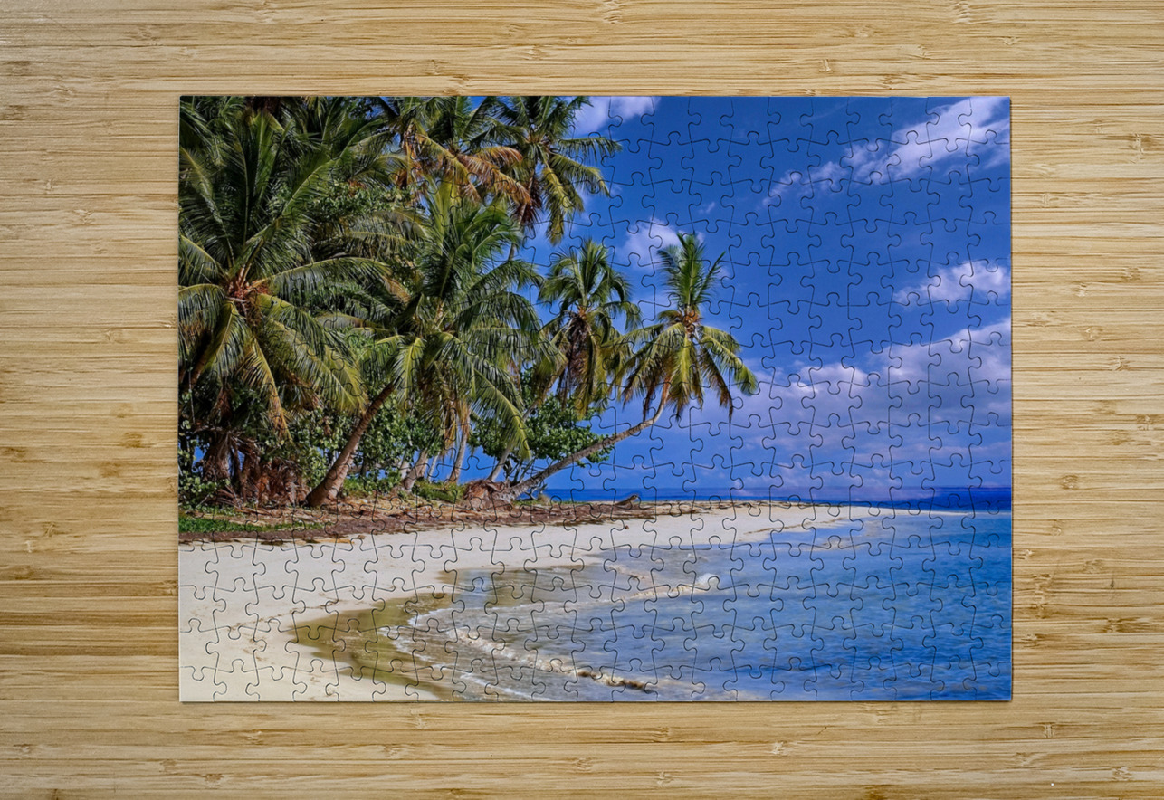 Tropical Shoreline Paradise Chirag Pandya Puzzle printing