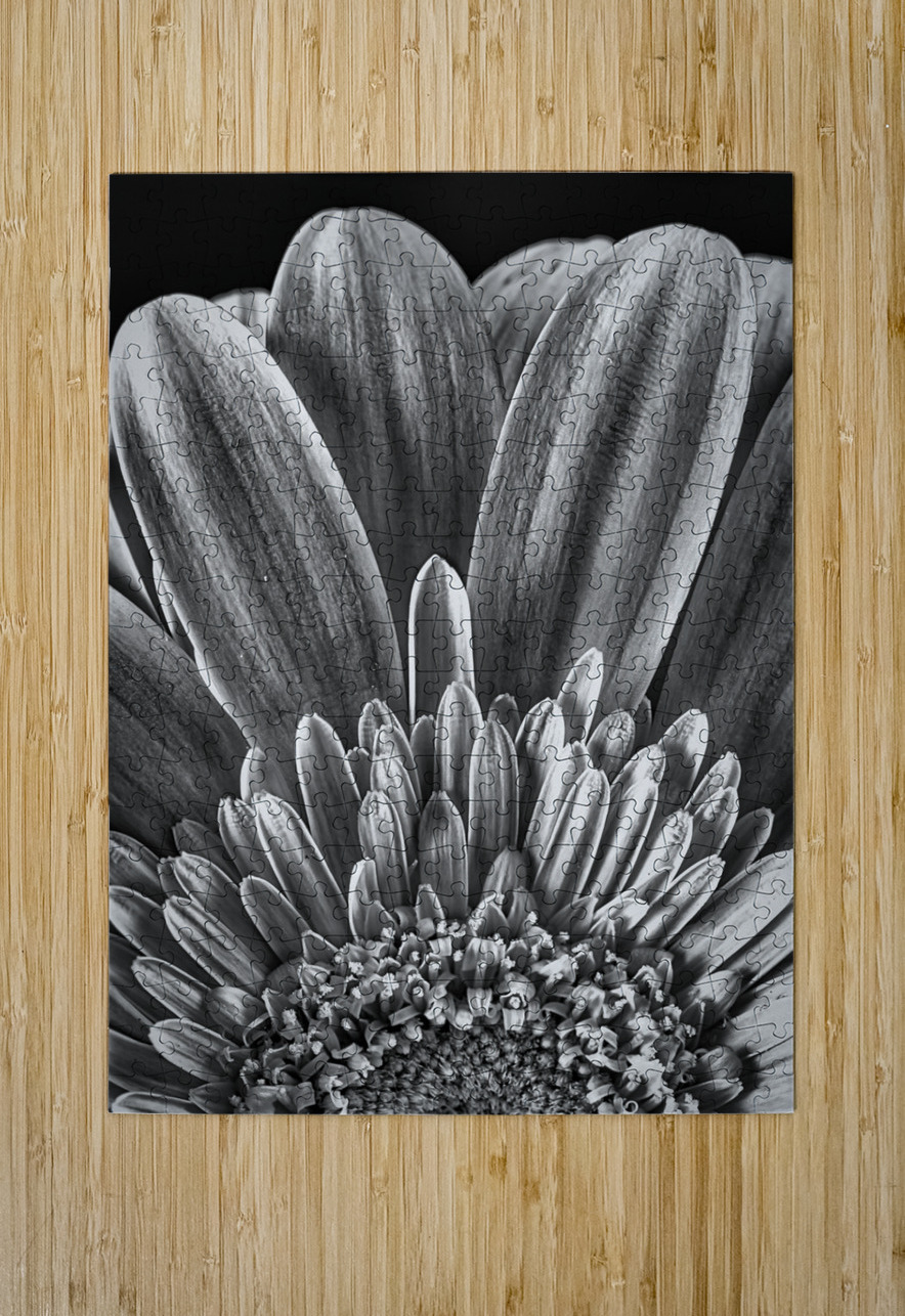 Bloom Chirag Pandya Puzzle printing