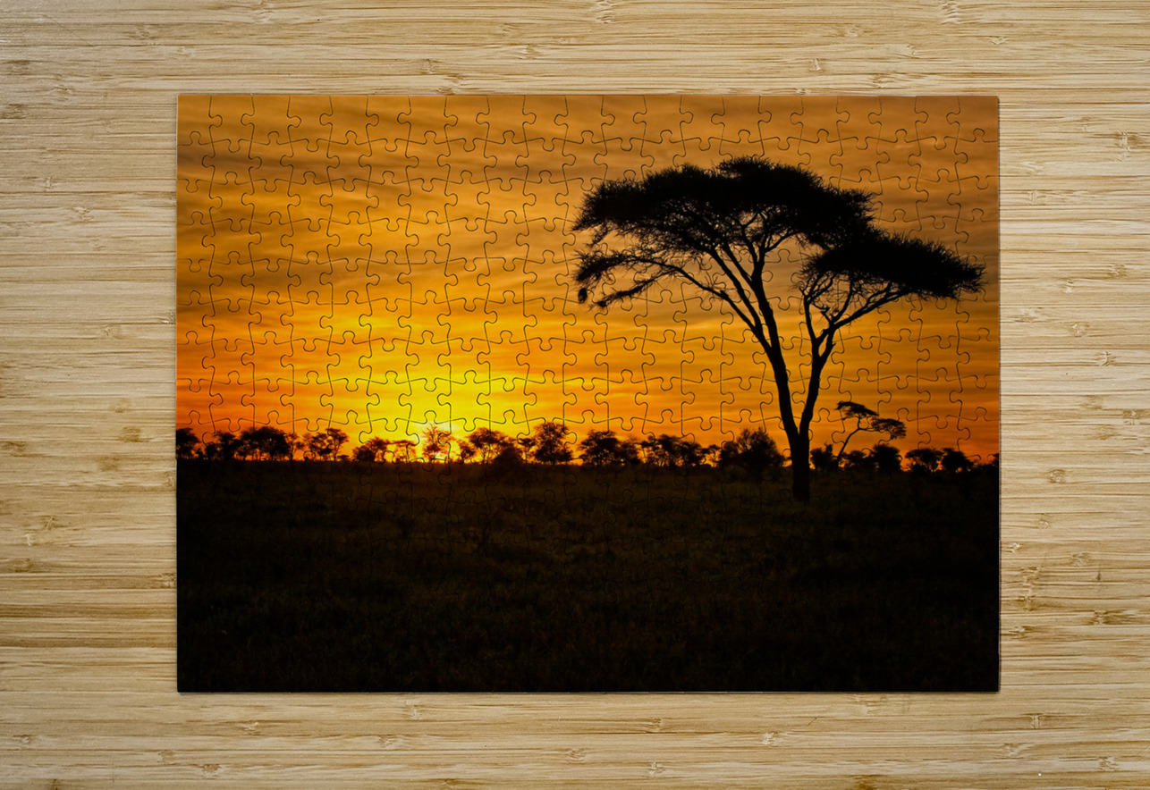 Savanna Gold Chirag Pandya Puzzle printing