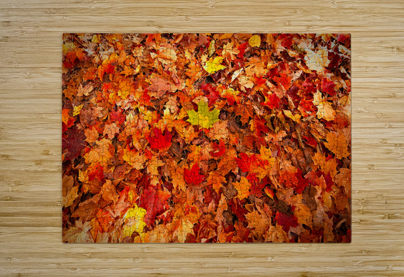 Autumn’s Golden Standout Chirag Pandya Puzzle printing