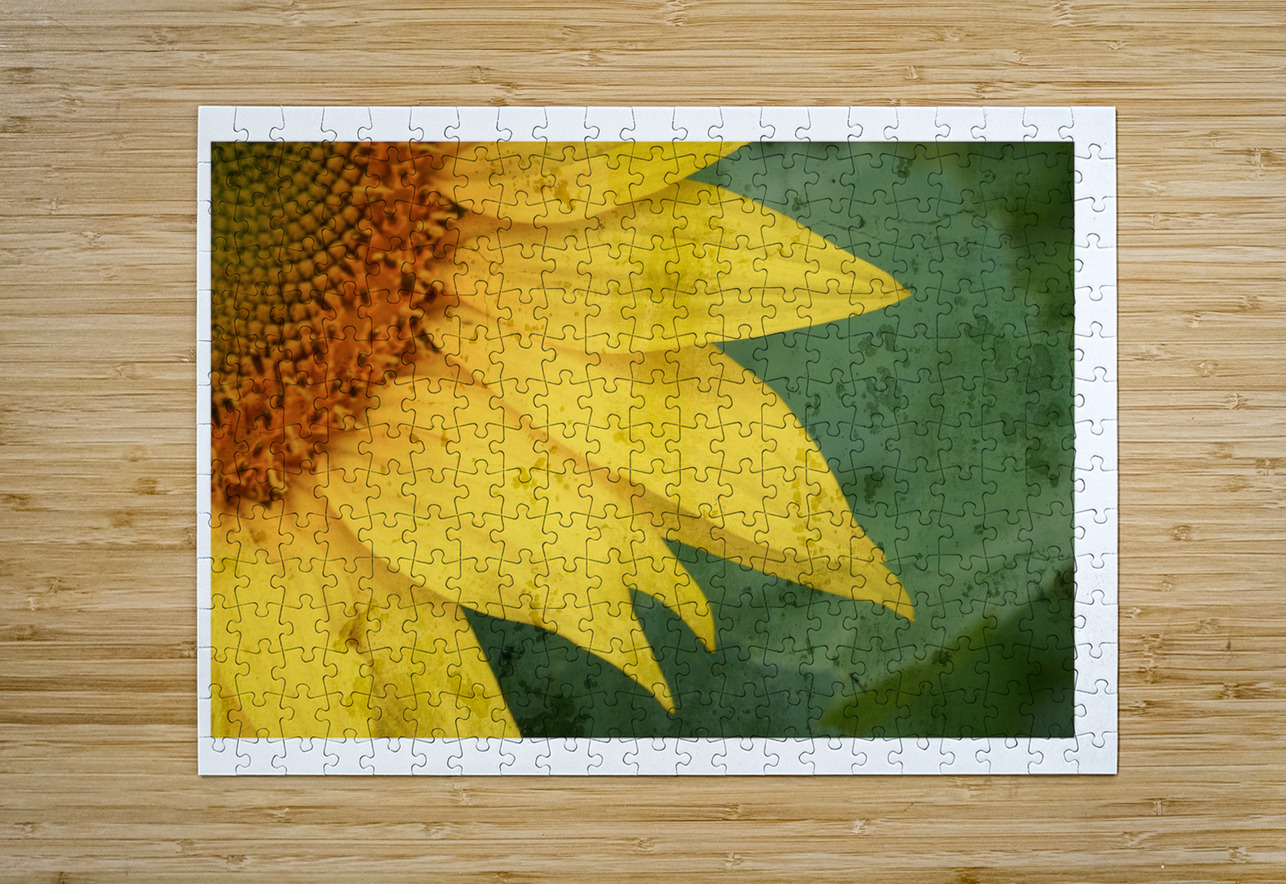 Sunflower Glow Chirag Pandya Puzzle printing