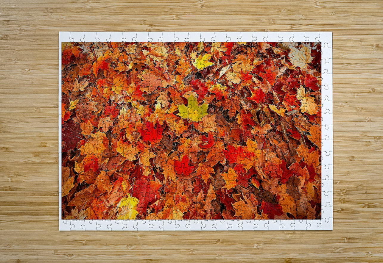 Autumn Carpet Chirag Pandya Puzzle printing