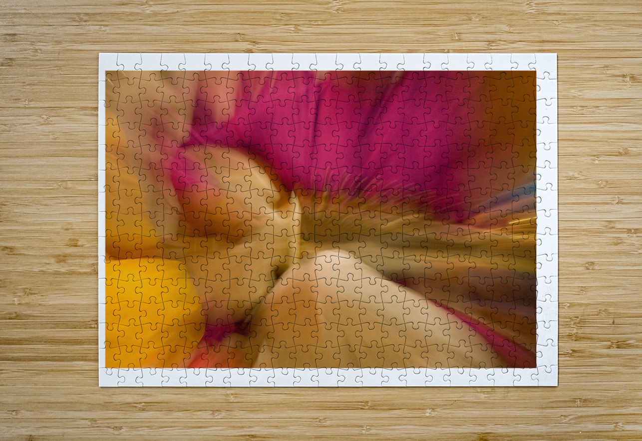 Music in Motion Chirag Pandya Puzzle printing