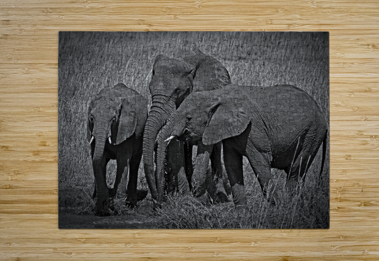 Elephants at the Waterhole Chirag Pandya Puzzle printing