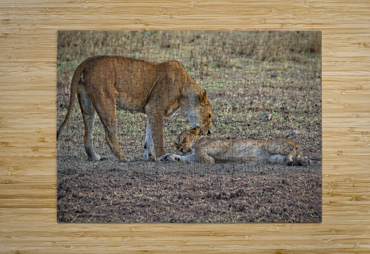 Mother’s Nudge Chirag Pandya Puzzle printing