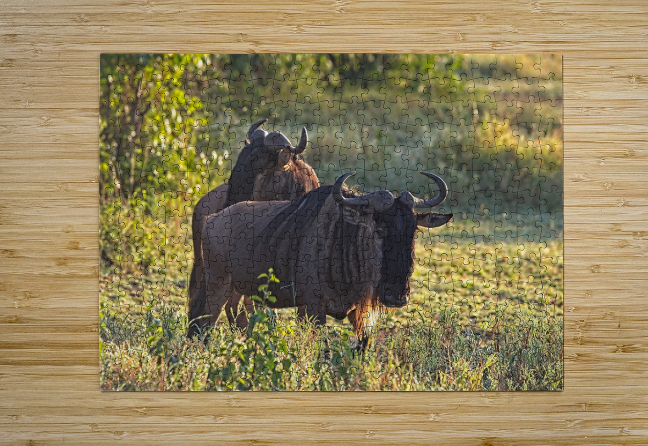 Wildebeest Pair Chirag Pandya Puzzle printing