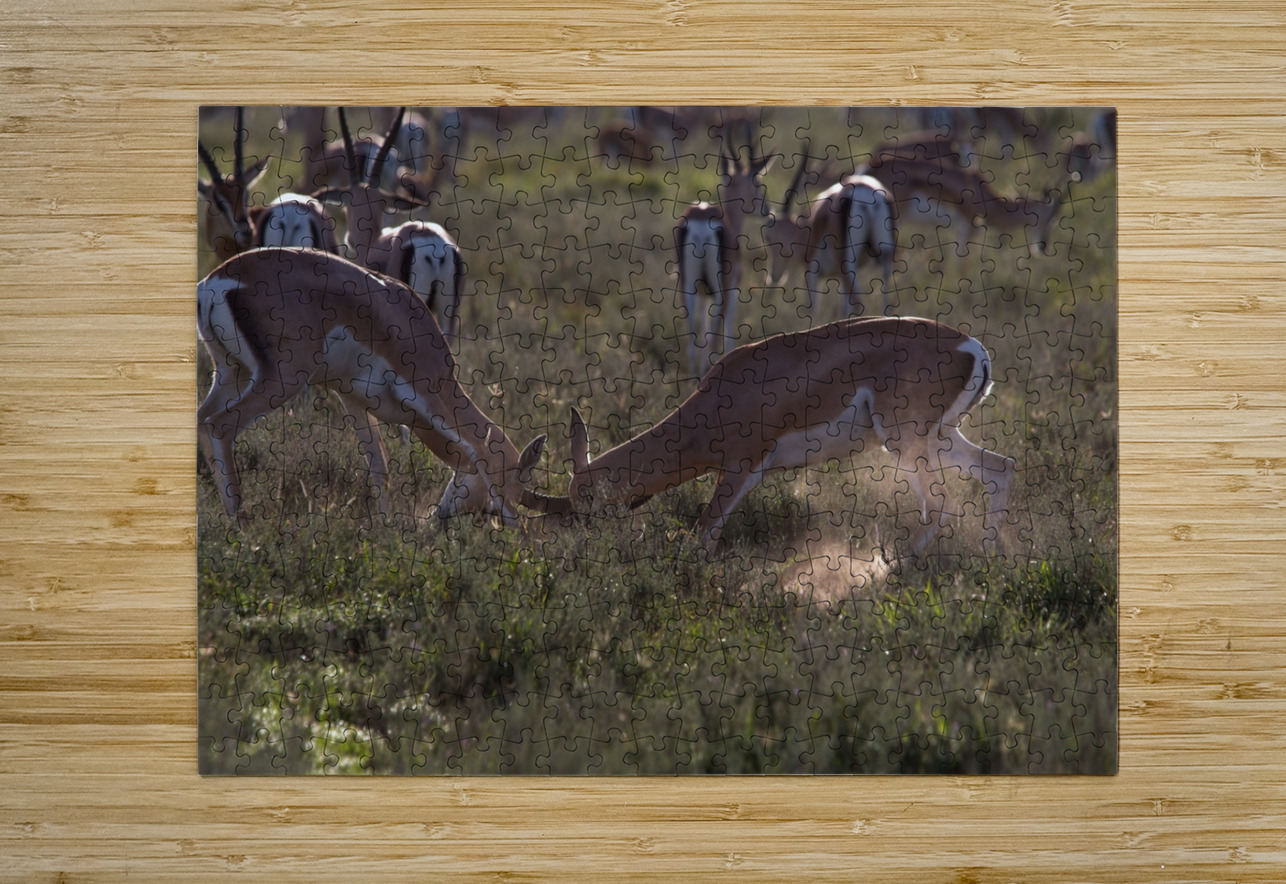 Impala Clash Chirag Pandya Puzzle printing