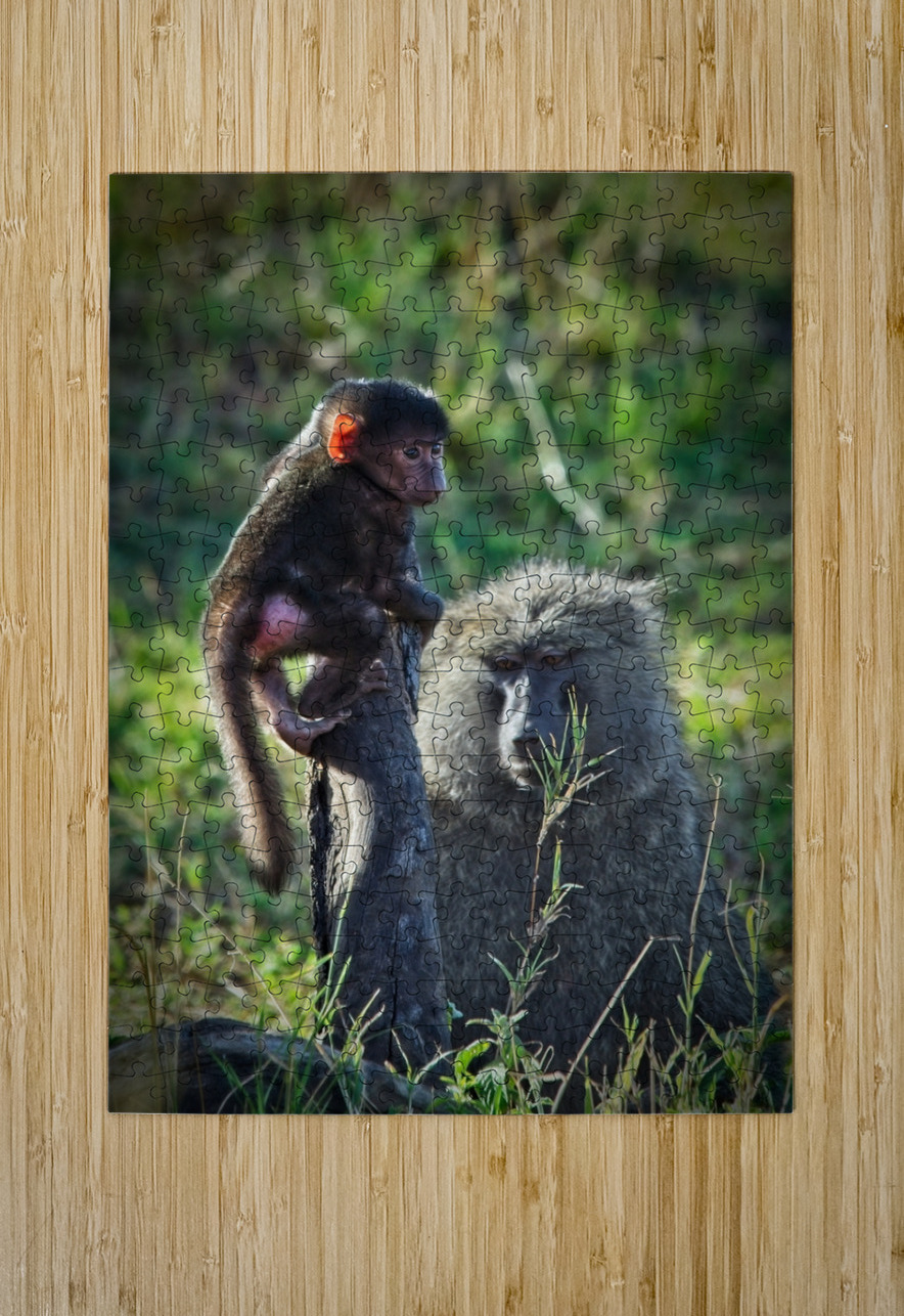 Little Leader Chirag Pandya Puzzle printing