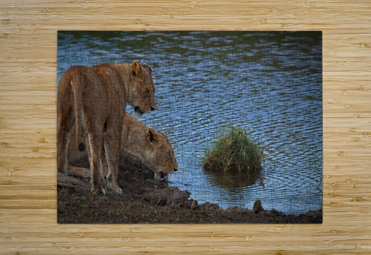 Waterfront Curiosity Chirag Pandya Puzzle printing