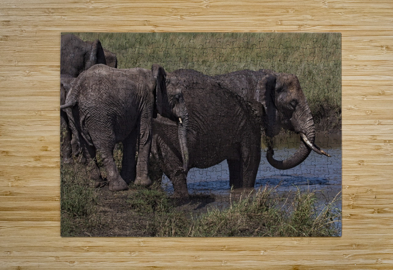 Mud Bath Joy Chirag Pandya Puzzle printing