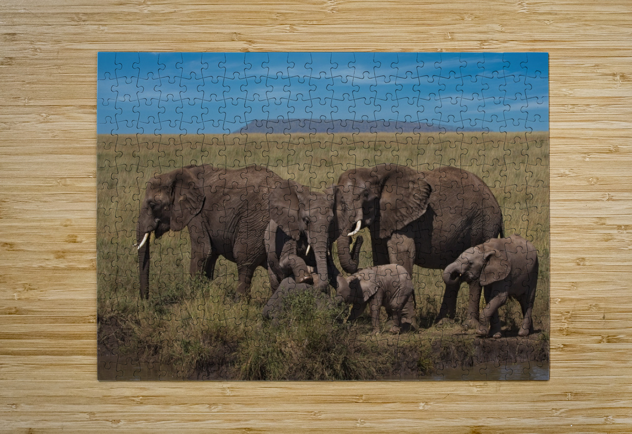 Elephant Family Gathering Chirag Pandya Puzzle printing