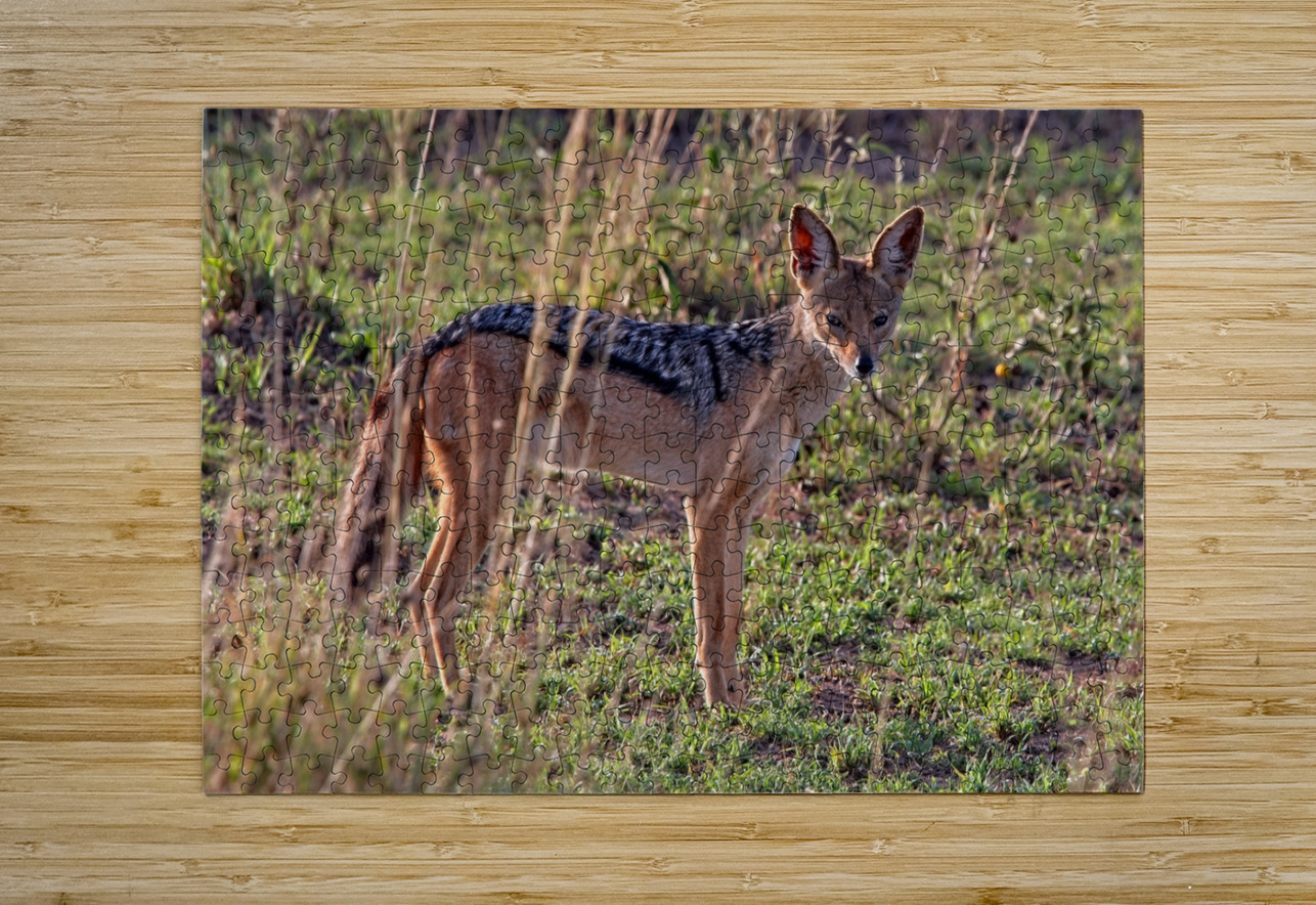 Silent Watcher of the Plains Chirag Pandya Puzzle printing