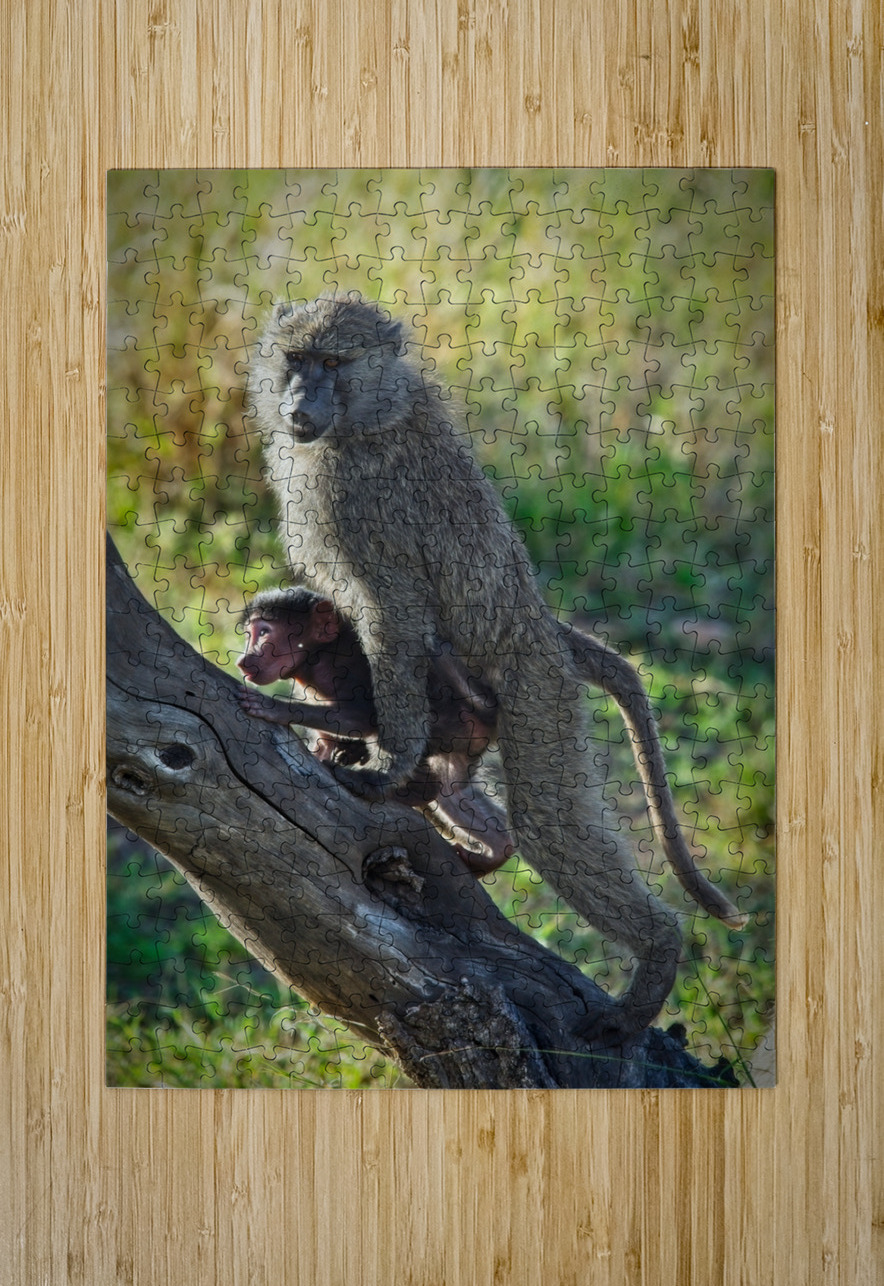 Mother’s Hold Chirag Pandya Puzzle printing