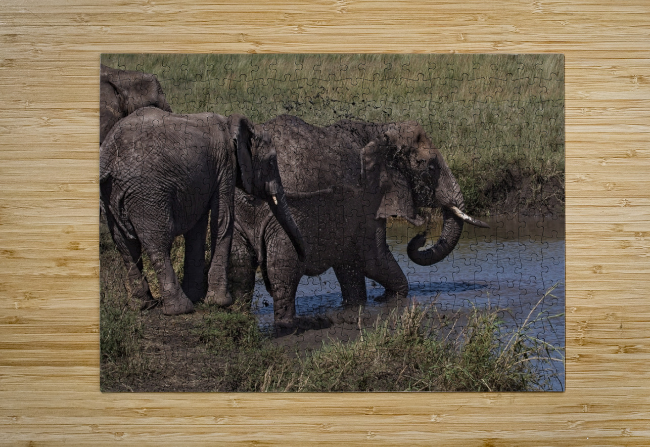 Mud Bath Ritual Chirag Pandya Puzzle printing