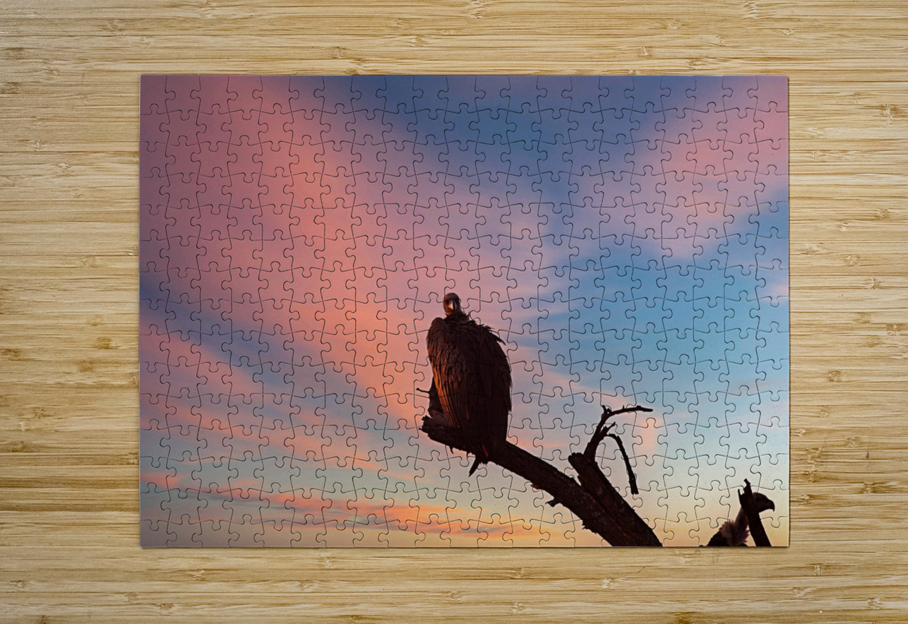 Sky Watcher Chirag Pandya Puzzle printing