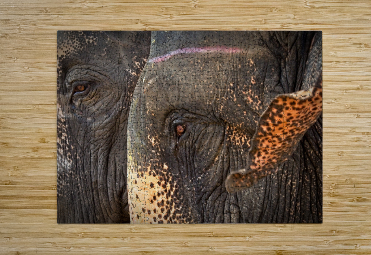 Ancient Companions Chirag Pandya Puzzle printing