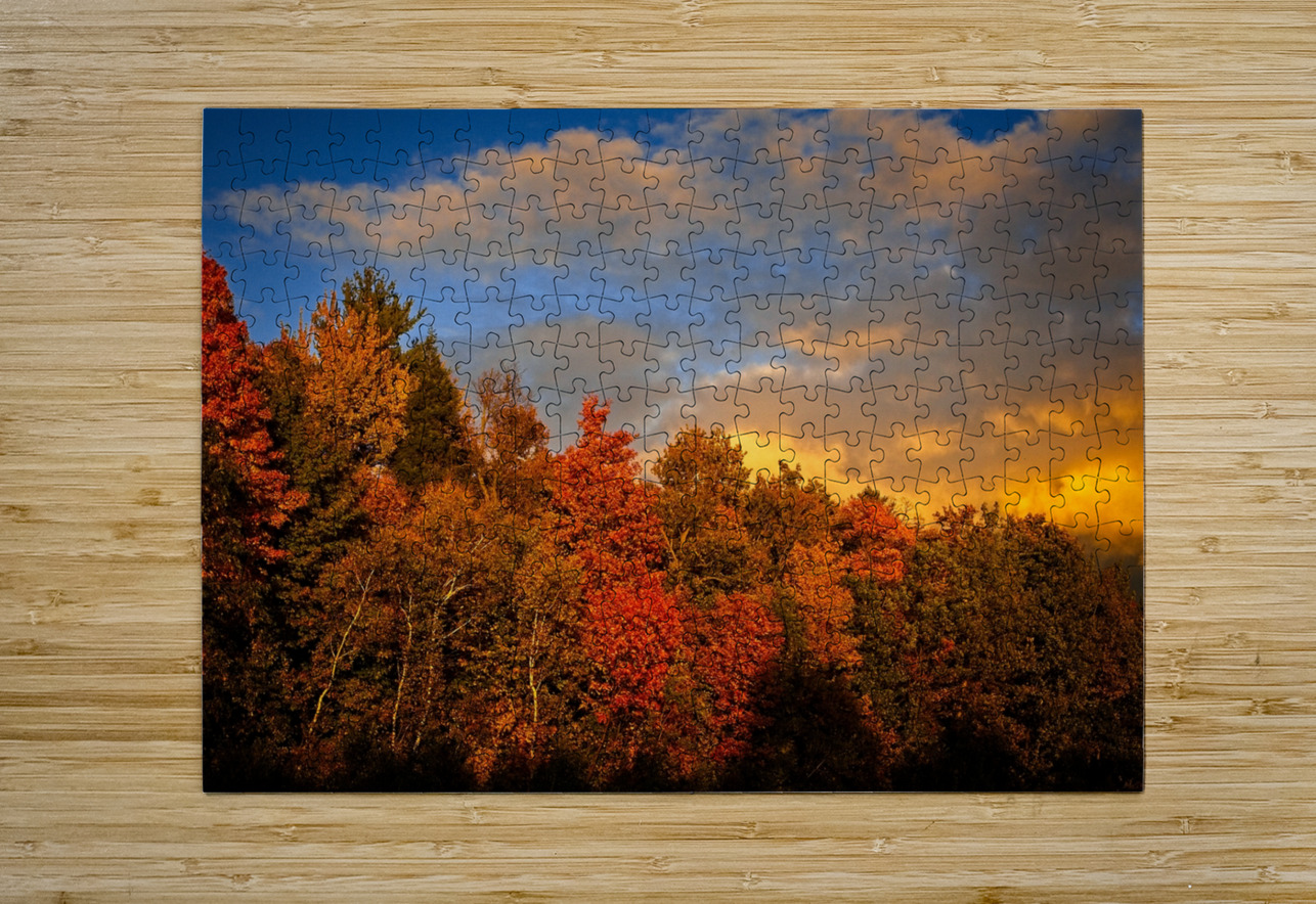 Golden Hour in the Treetops Chirag Pandya Puzzle printing