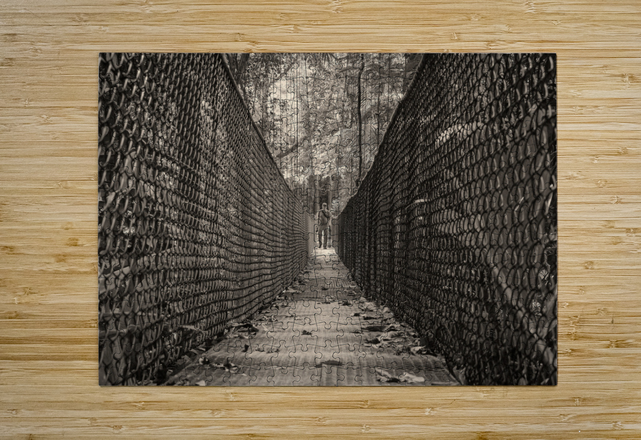 The Path Forward Chirag Pandya Puzzle printing