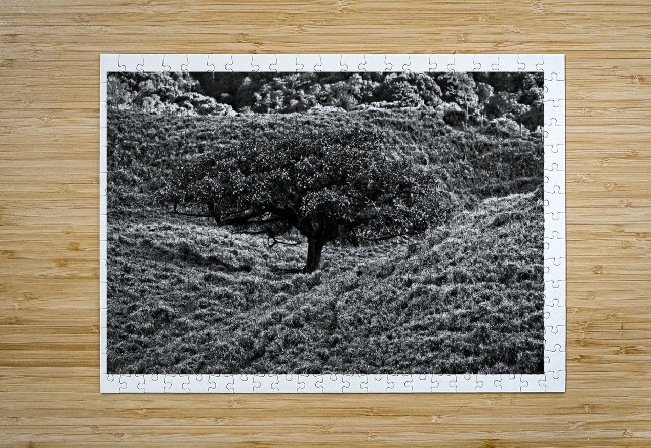 Lone Tree in the Hills Chirag Pandya Puzzle printing