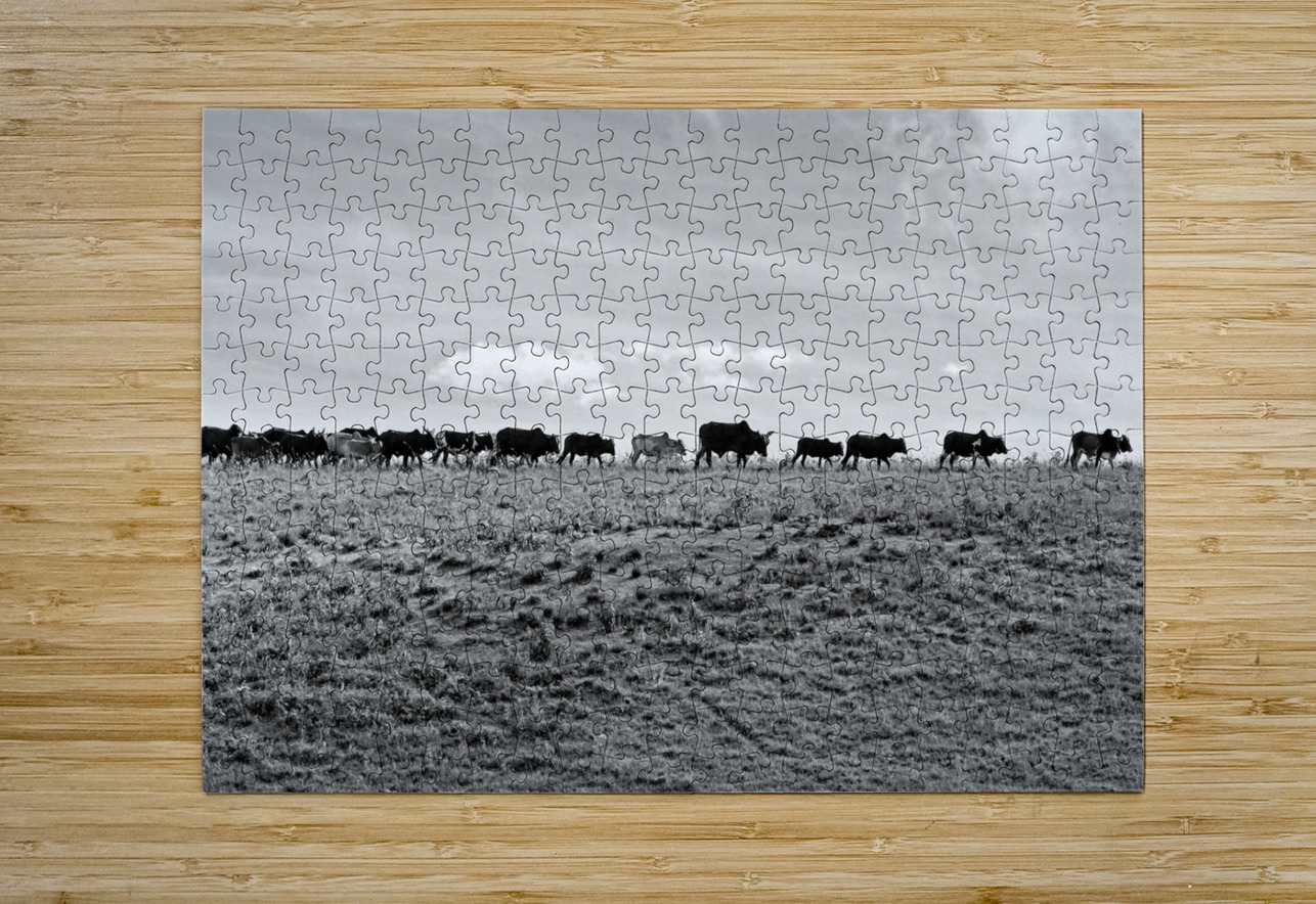 The Long Walk Home Chirag Pandya Puzzle printing