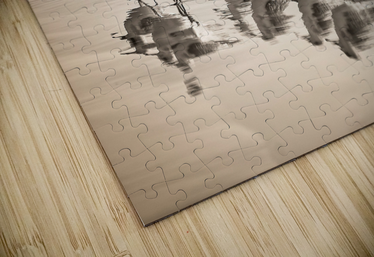 Gentle Pursuit Chirag Pandya Puzzle