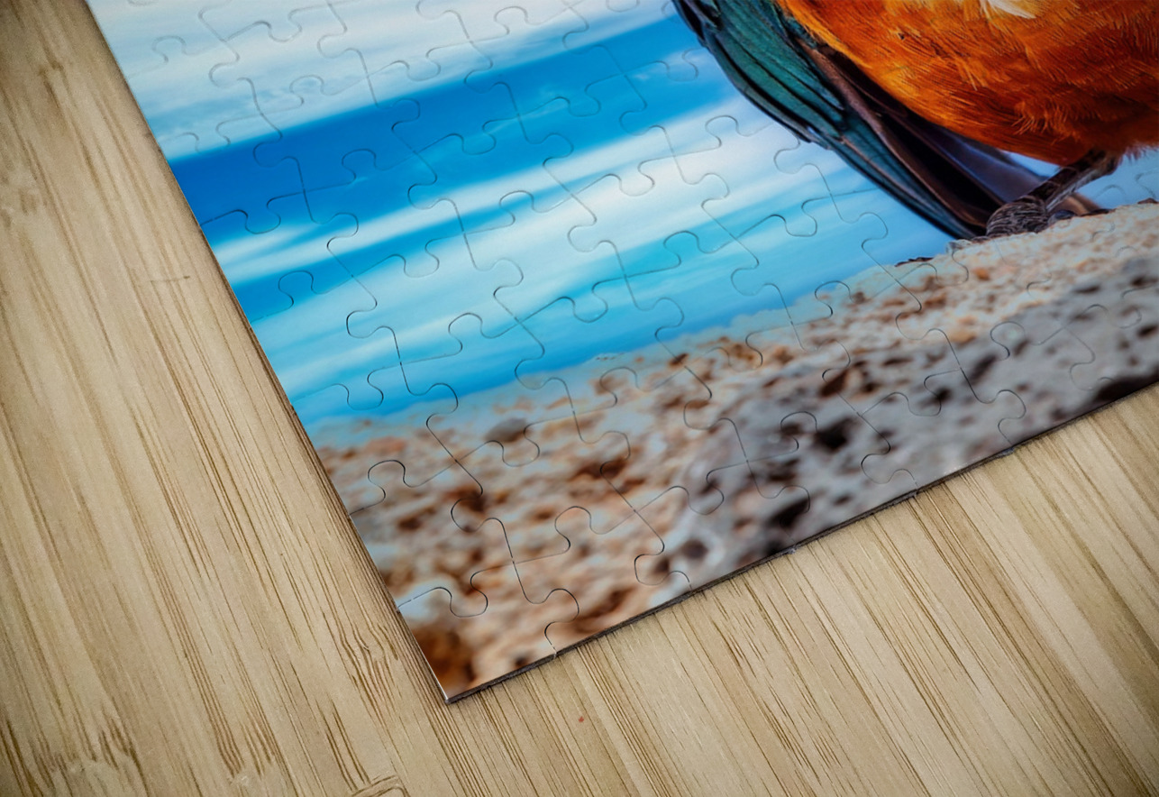 Skyfire Starling Chirag Pandya Puzzle