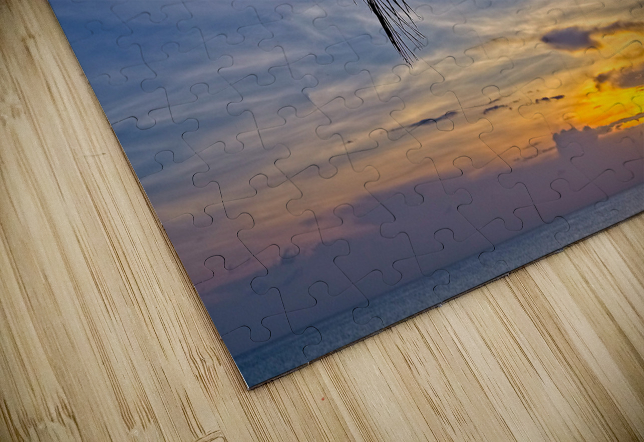 Palm-Framed Sunset Chirag Pandya Puzzle