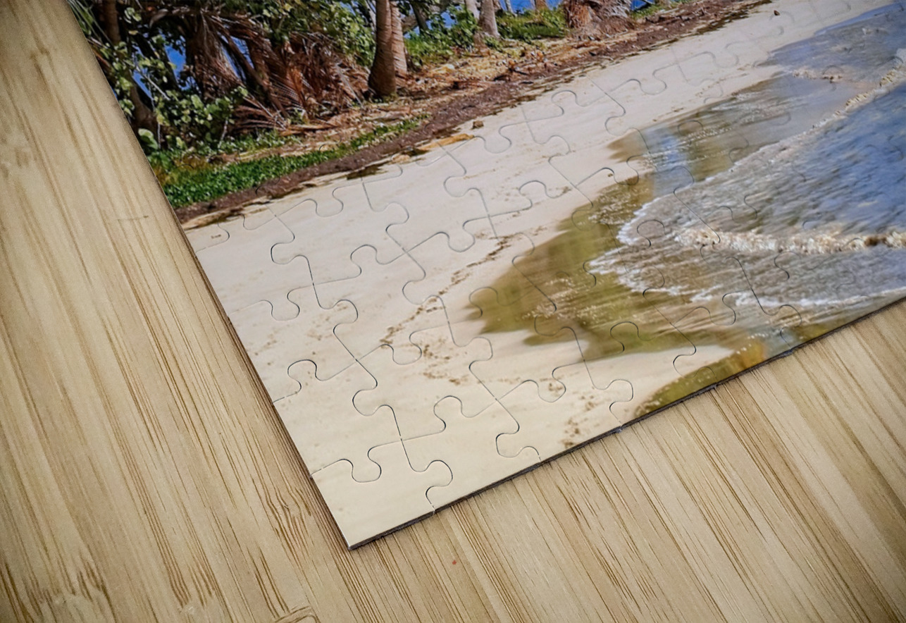 Tropical Shoreline Paradise Chirag Pandya Puzzle