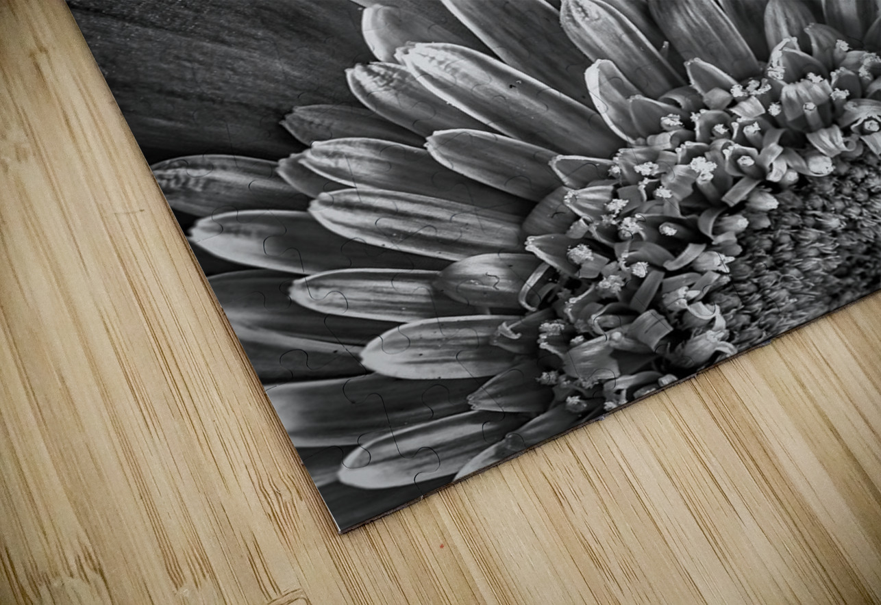 Bloom Chirag Pandya Puzzle