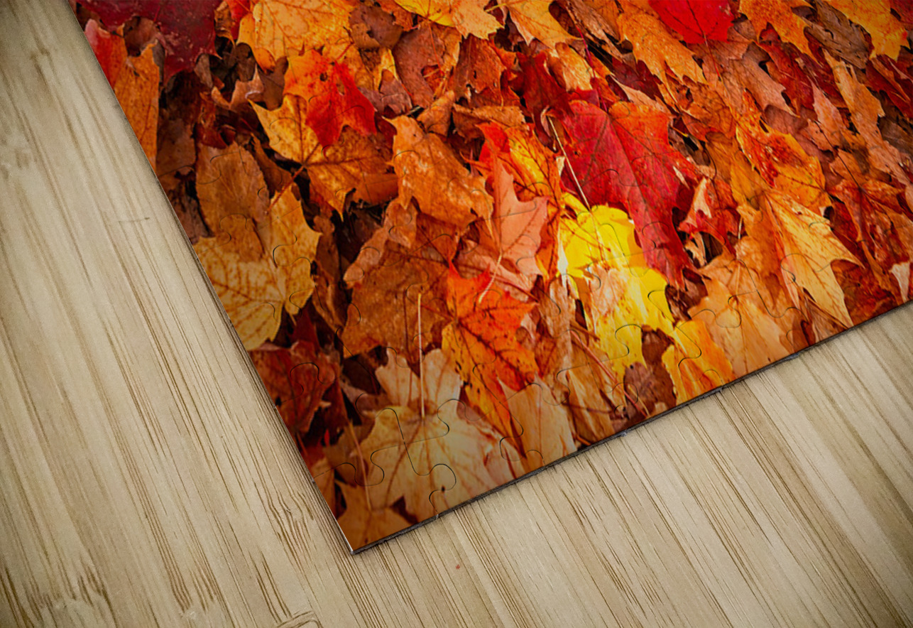 Autumn’s Golden Standout Chirag Pandya Puzzle