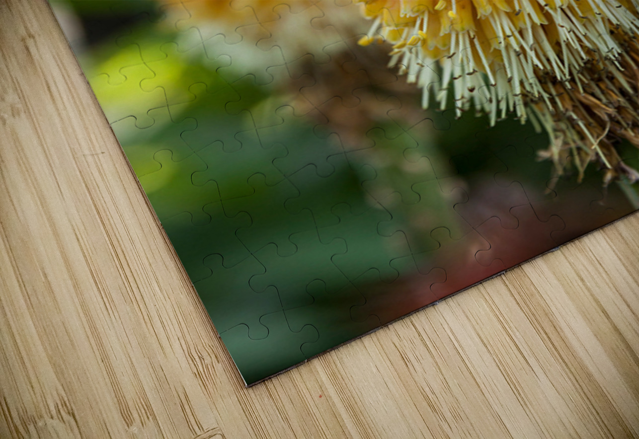 Fire Dance Bloom Chirag Pandya Puzzle