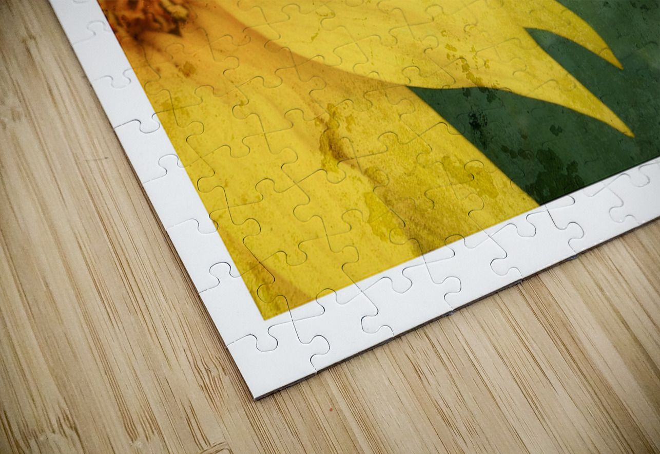 Sunflower Glow Chirag Pandya Puzzle