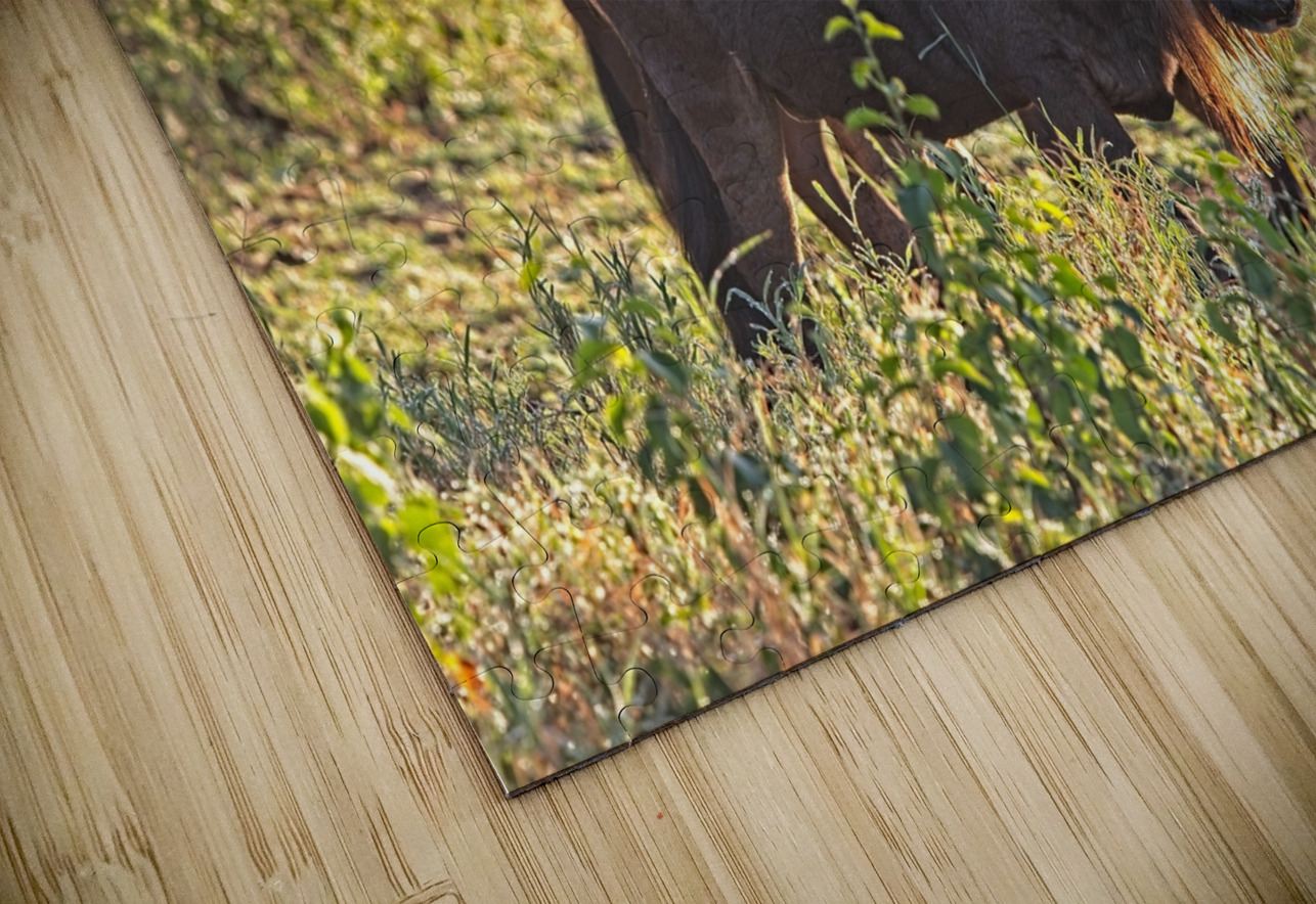 Wildebeest Pair Chirag Pandya Puzzle