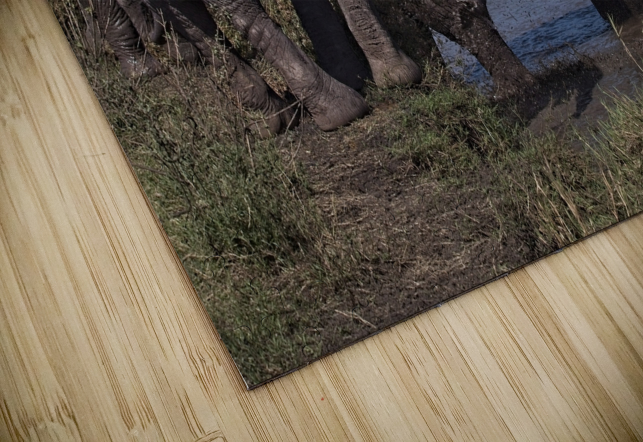 Mud Bath Joy Chirag Pandya Puzzle