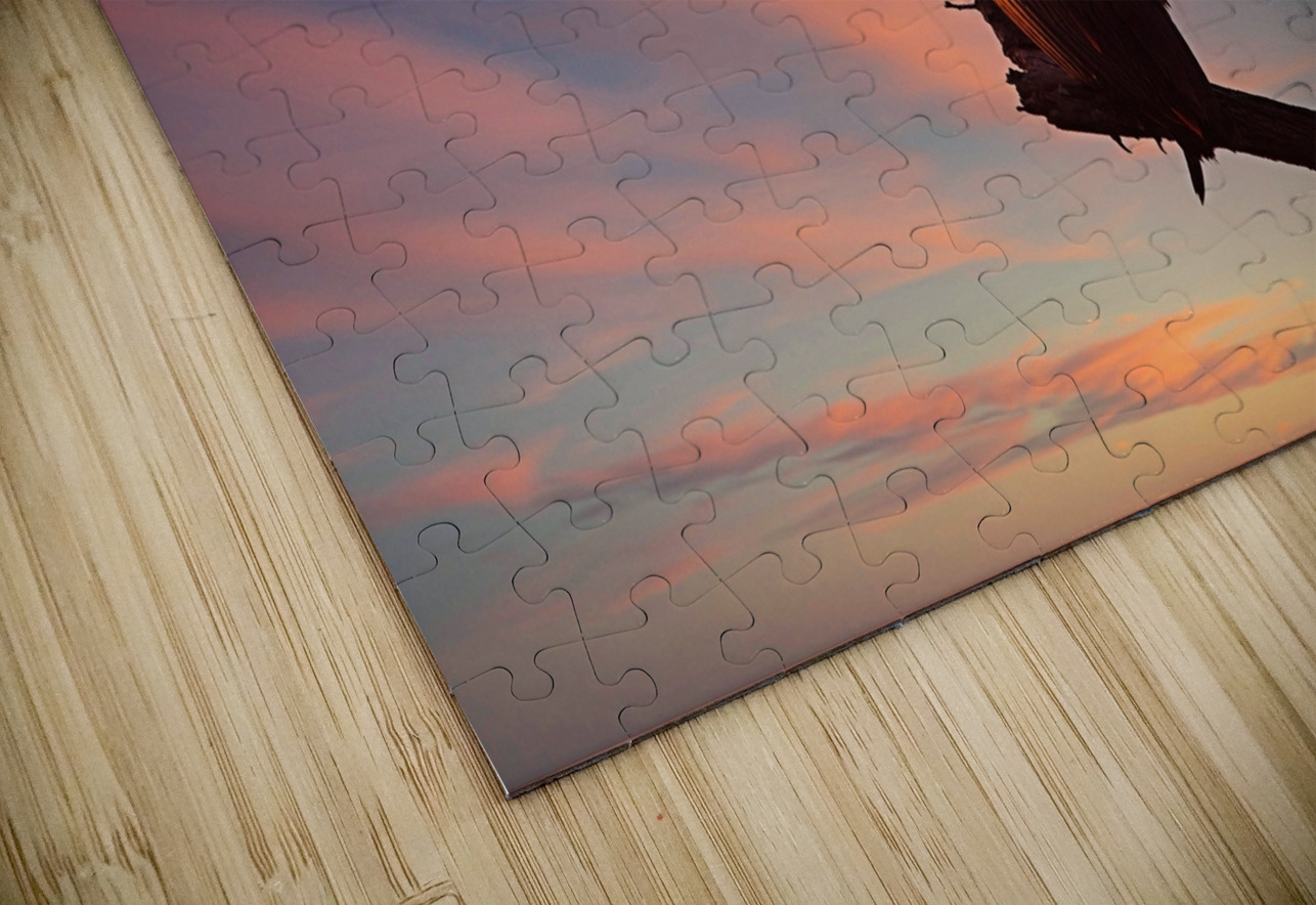 Sky Watcher Chirag Pandya Puzzle