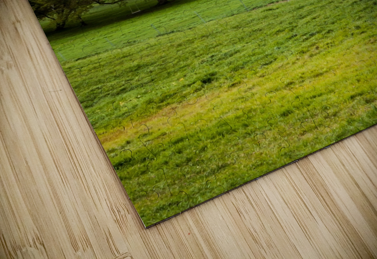 Autumn Cabin Escape Chirag Pandya Puzzle