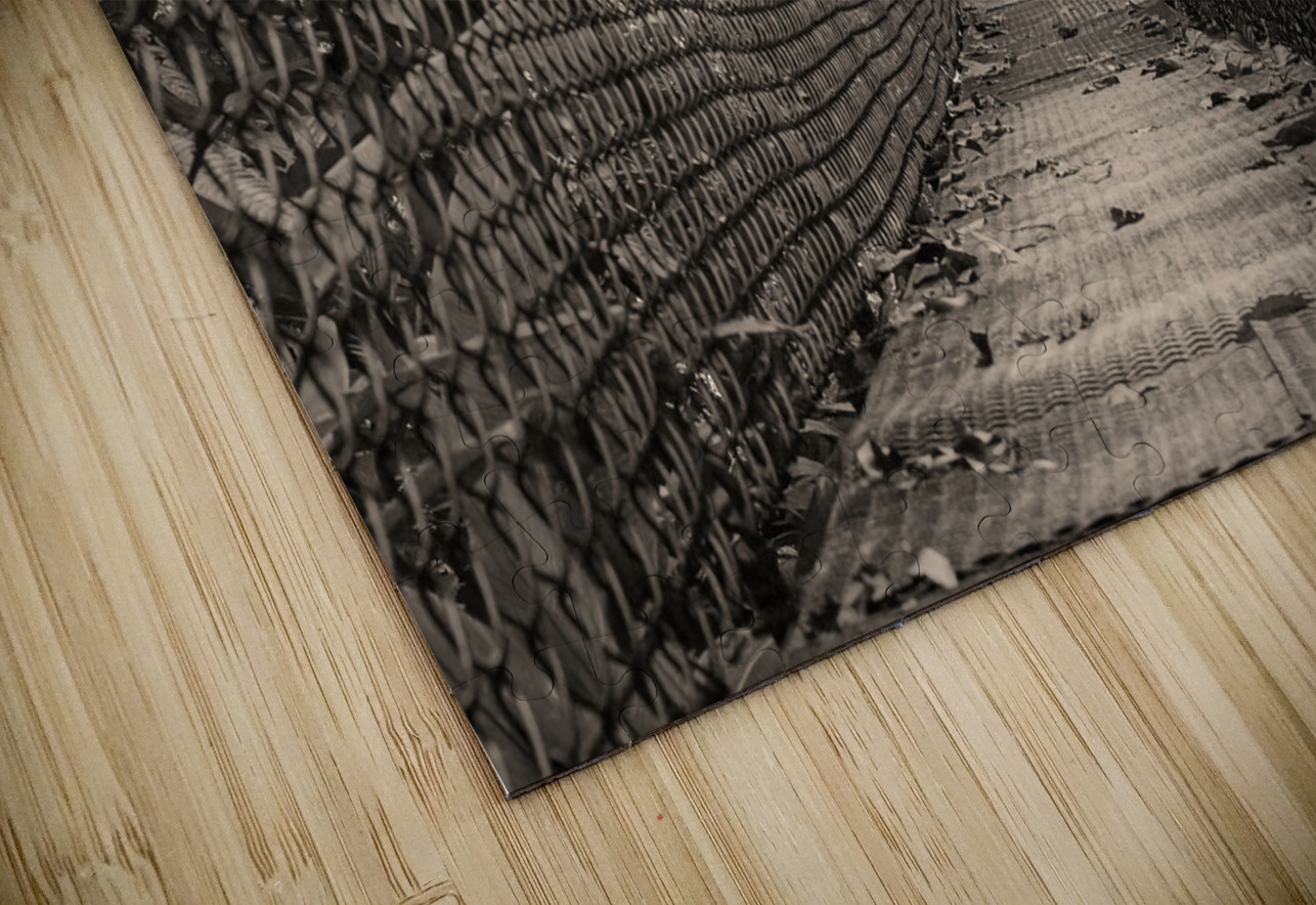 The Path Forward Chirag Pandya Puzzle