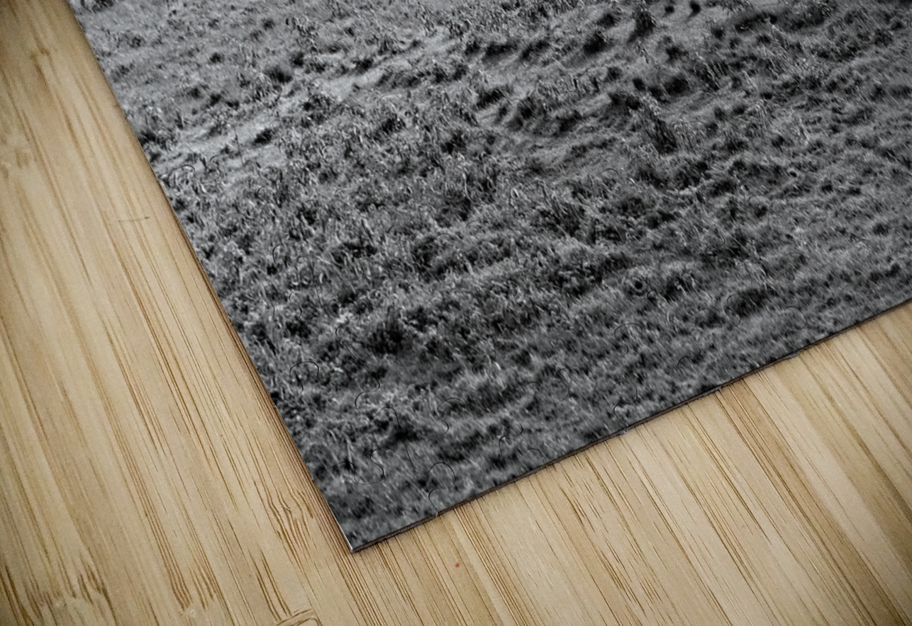 The Long Walk Home Chirag Pandya Puzzle