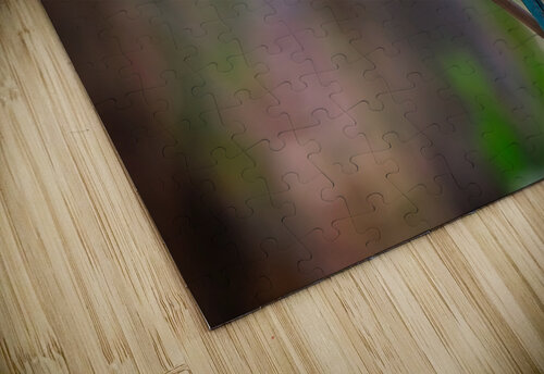 Tropical Daydream Chirag Pandya puzzle