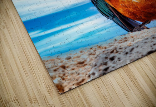 Skyfire Starling Chirag Pandya puzzle