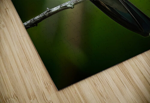 Emerald Whisper Chirag Pandya puzzle