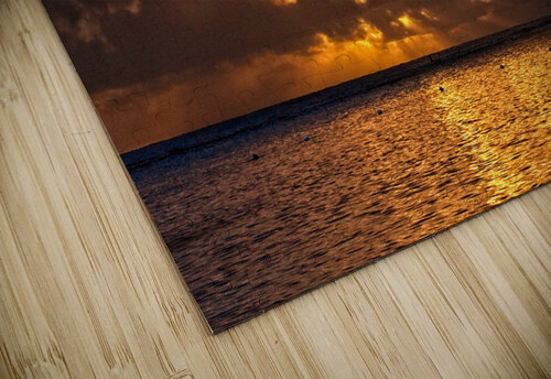 Golden Tempest Chirag Pandya puzzle