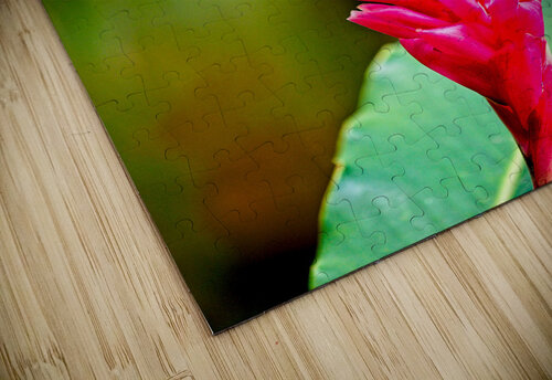 355A4291  ZAPATITOS LINDOS Chirag Pandya puzzle
