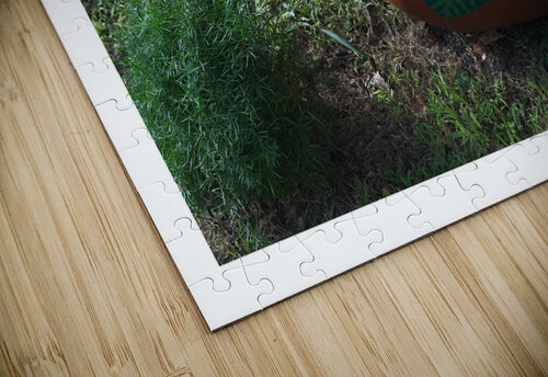 Painted Garden Pot Chirag Pandya puzzle